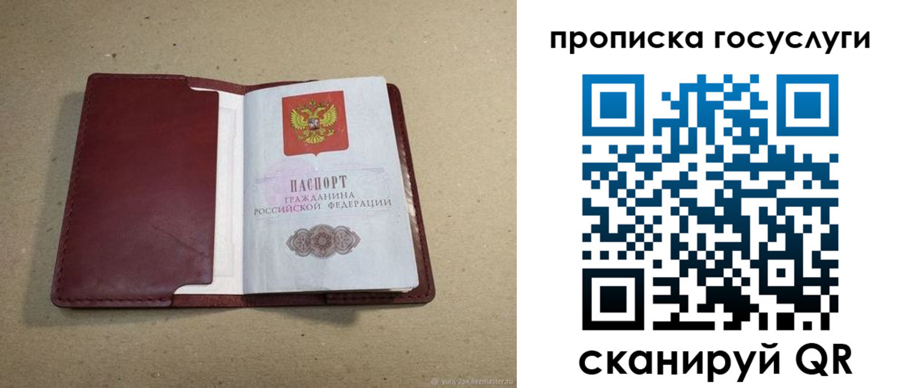 прописка поиск в Александровске